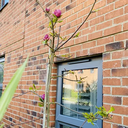 Igloo Magnolia I Breakfast I Free Parking Leeds (West Yorkshire)