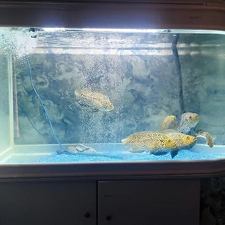 Igloo Magnolia I Breakfast I Free Parking * Лидс