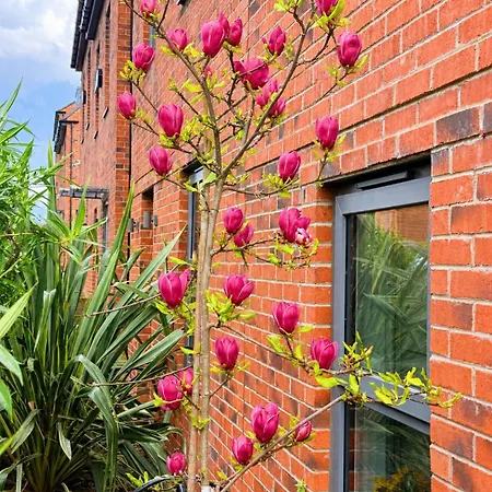 Igloo Magnolia I Breakfast I Free Parking * Leeds (West Yorkshire)
