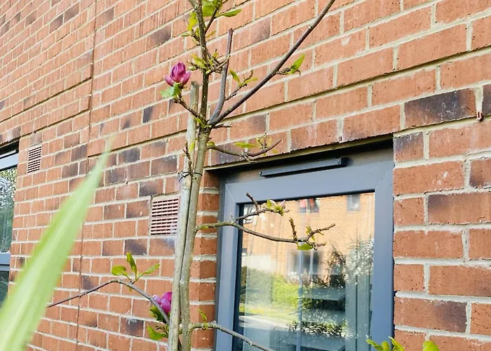 Igloo Magnolia I Breakfast I Free Parking Leeds (West Yorkshire)