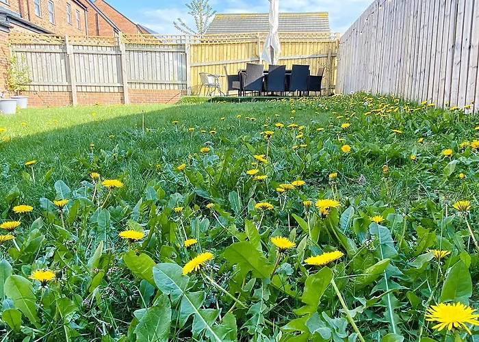 Igloo Magnolia I Breakfast I Free Parking Leeds (West Yorkshire)