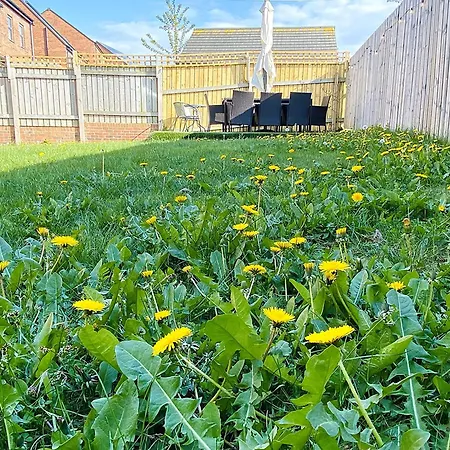 Igloo Magnolia I Breakfast I Free Parking 리즈