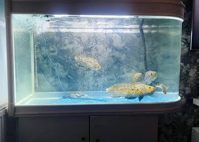 Igloo Magnolia I Breakfast I Free Parking * 리즈